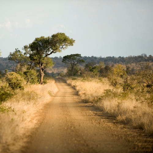 traffic fines in Polokwane